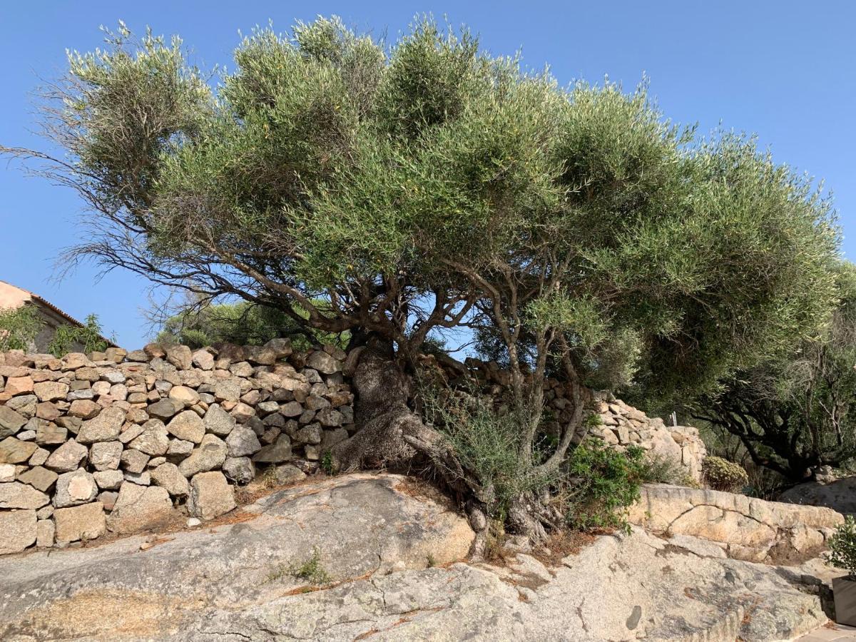 Stazzu Nuraghe Mannucciu Guest House เรนามาจอเร ภายนอก รูปภาพ